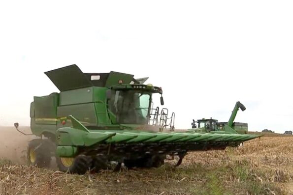 Controversial Weed Killer May Force Some Farmers Out Of Business